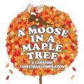 A Moose in a Maple Tree: A Canadian Christmas Compilation